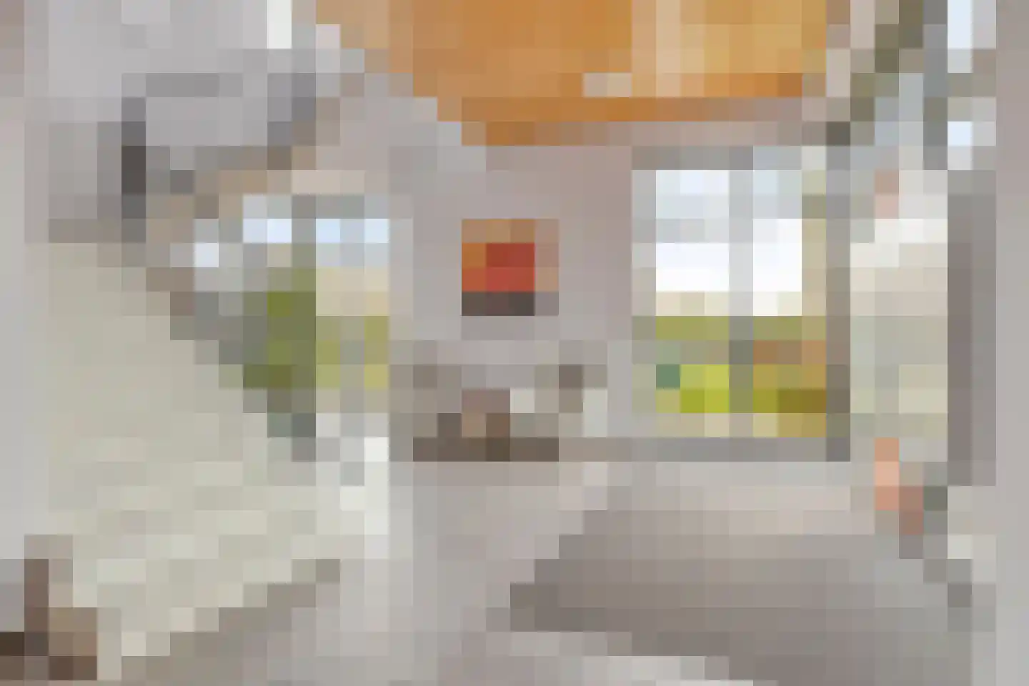 Jacoba van Beierenhof 12 Voorhout thumbnail 6