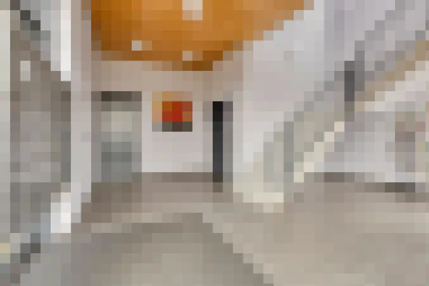 Jacoba van Beierenhof 12 Voorhout thumbnail 7