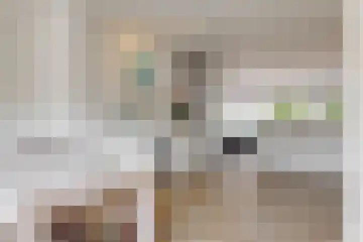 Jacoba van Beierenlaan 107 Leiderdorp thumbnail 16