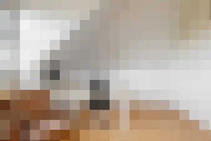 Jacoba van Beierenlaan 107 Leiderdorp thumbnail 31