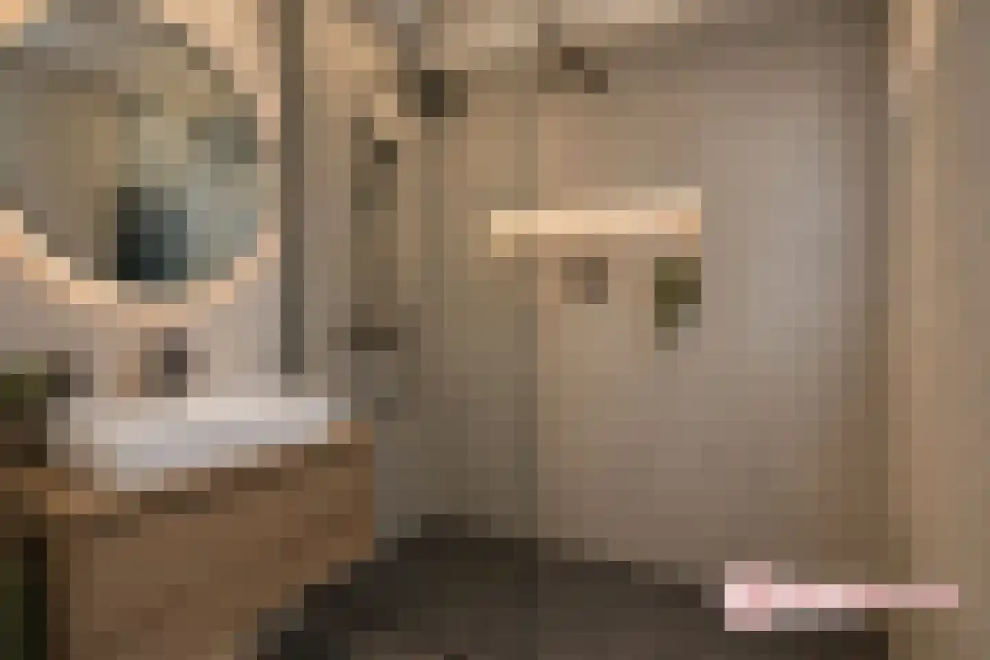 Jacoba van Beierenlaan 133 Delft thumbnail 19
