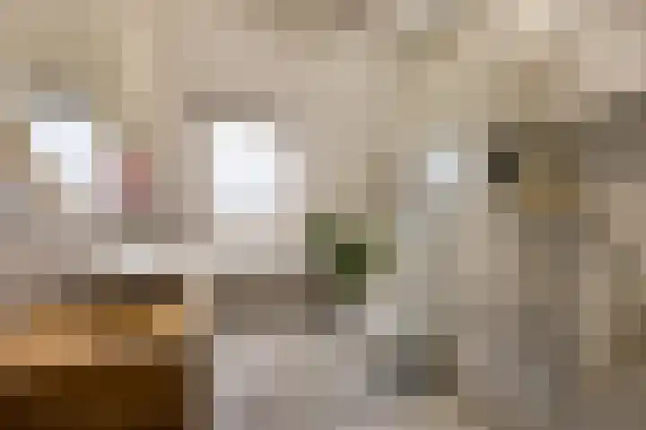 Jacoba van Beierenlaan 142 Leiderdorp thumbnail 14