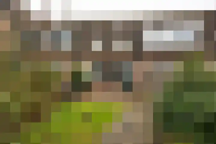 Jacoba van Beierenlaan 142 Leiderdorp thumbnail 20
