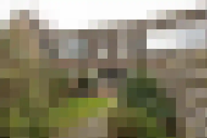 Jacoba van Beierenlaan 142 Leiderdorp thumbnail 21
