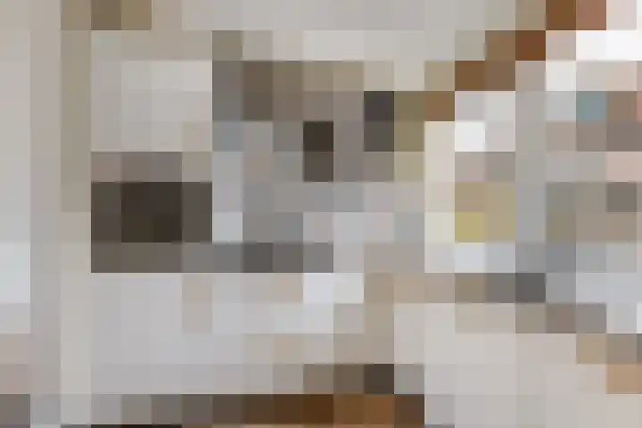 Jacoba van Beierenlaan 142 Leiderdorp thumbnail 7