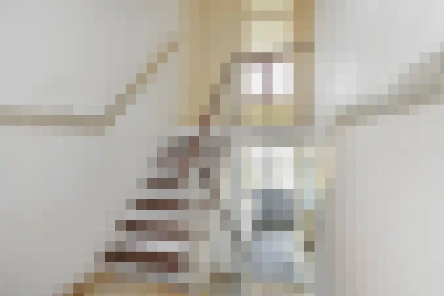 Jacoba van Beierenlaan 143 Delft thumbnail 7