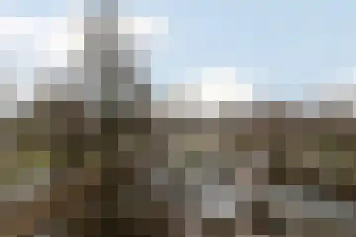 Jacoba van Beierenlaan 145 Delft thumbnail 16