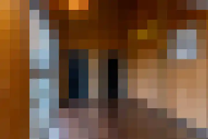 Jacoba van Beierenlaan 145 Delft thumbnail 29
