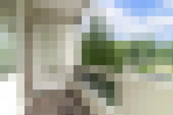 Jacoba van Beierenlaan 149 Delft thumbnail 16