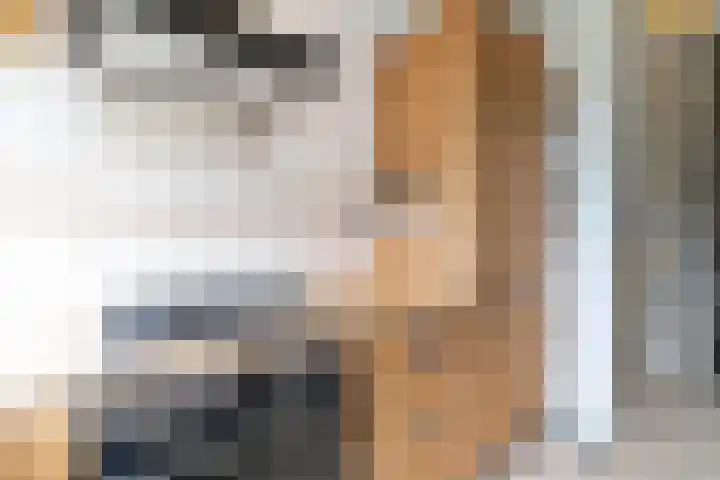 Jacoba van Beierenlaan 149 Delft thumbnail 19