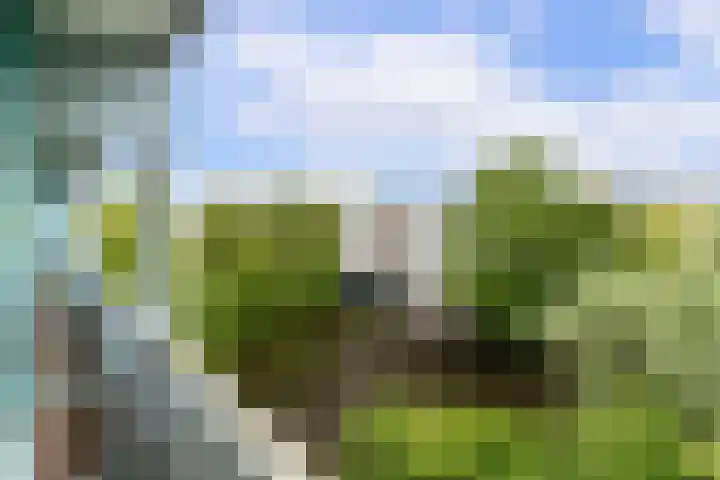 Jacoba van Beierenlaan 149 Delft thumbnail 26