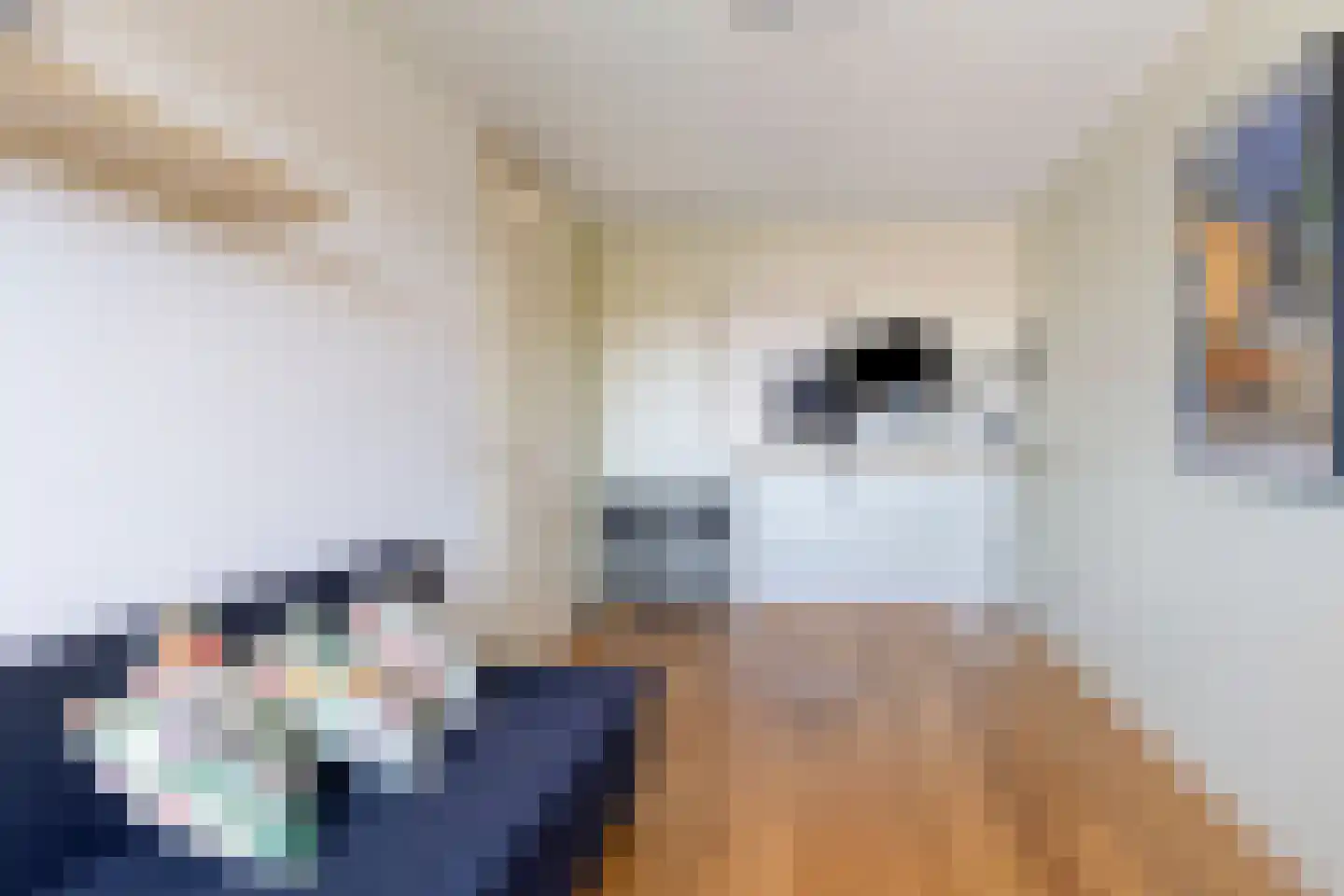 Jacoba van Beierenlaan 28 Uitgeest thumbnail 23