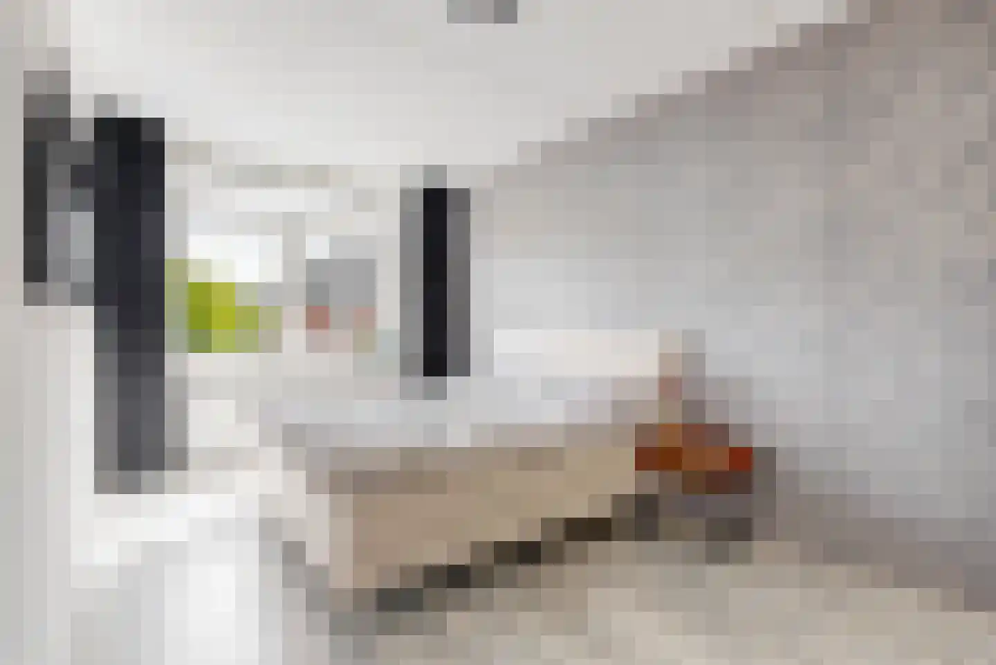 Jacoba van Beierenlaan 81 Uitgeest thumbnail 13