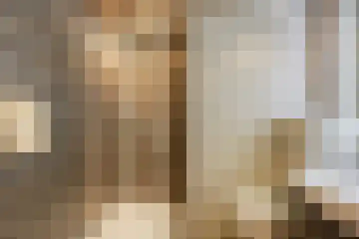 Jacoba van Beierenlaan 95 Leiderdorp thumbnail 25