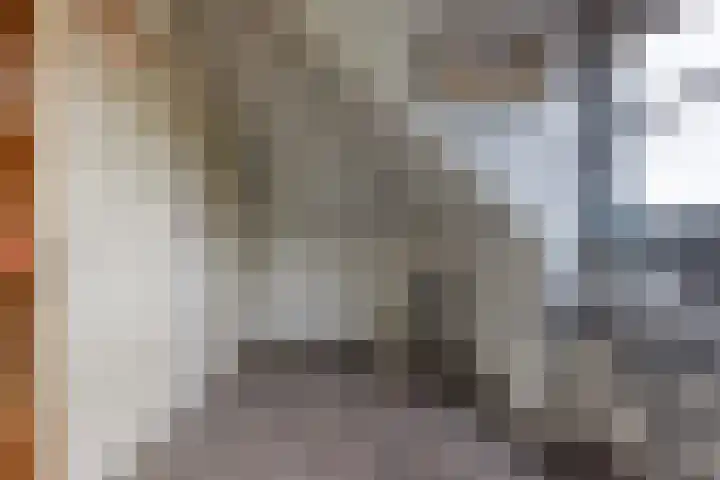 Jacoba van Beierenlaan 95 Leiderdorp thumbnail 32