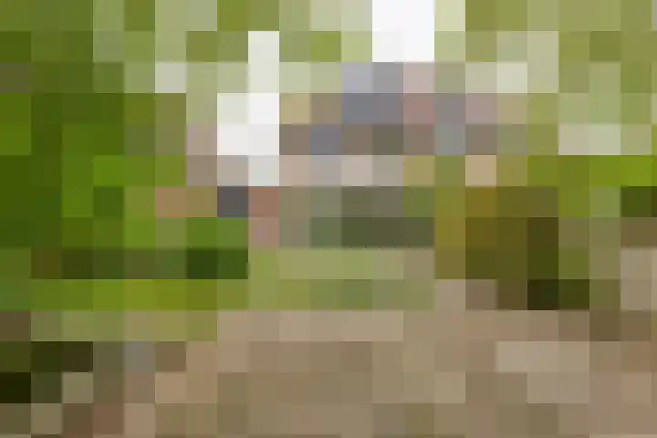 Jacoba van Beierenlaan 95 Leiderdorp thumbnail 34