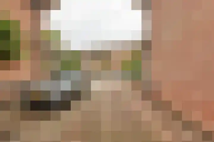 Jacoba van Beierenlaan 95 Leiderdorp thumbnail 37