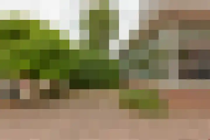 Jacoba van Beierenlaan 95 Leiderdorp thumbnail 8