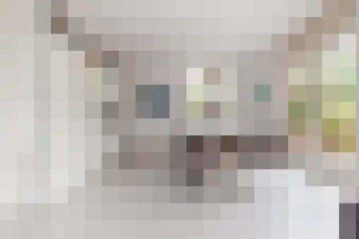 Jacoba van Beierenlaan 95 Uitgeest thumbnail 10