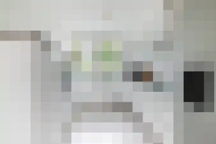 Jacoba van Beierenlaan 95 Uitgeest thumbnail 11
