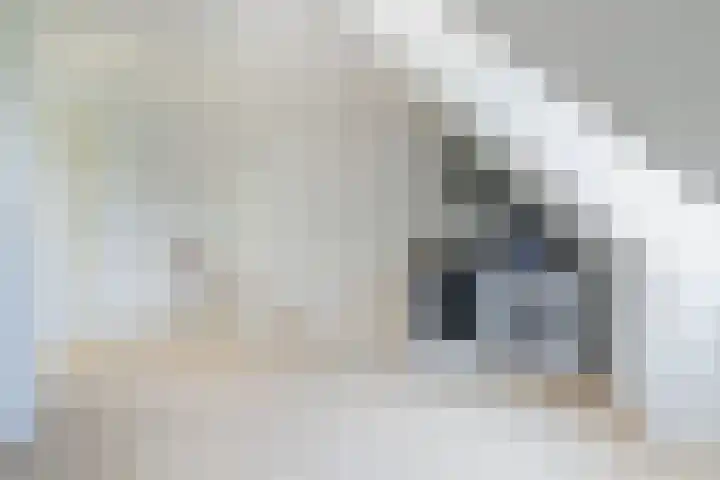 Jacoba van Beierenlaan 95 Uitgeest thumbnail 28