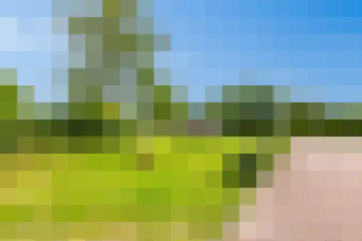 Jacoba van Beierenlaan 95 Uitgeest thumbnail 45