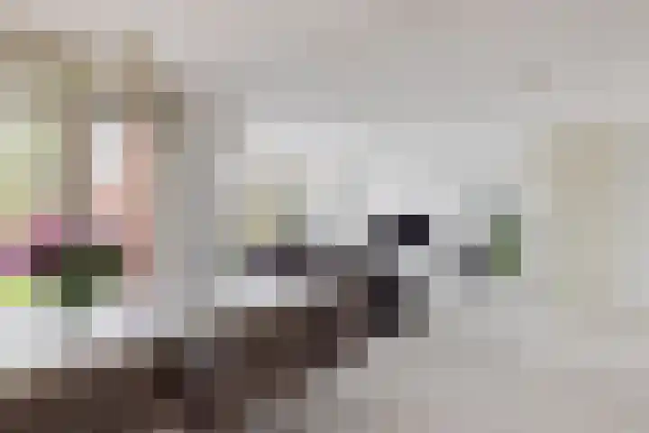 Jacoba van Beierenlaan 95 Uitgeest thumbnail 8