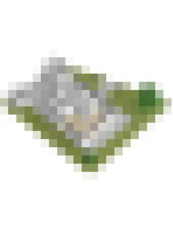 Jacoba van Beierenpad 2 's-Heerenhoek thumbnail 40