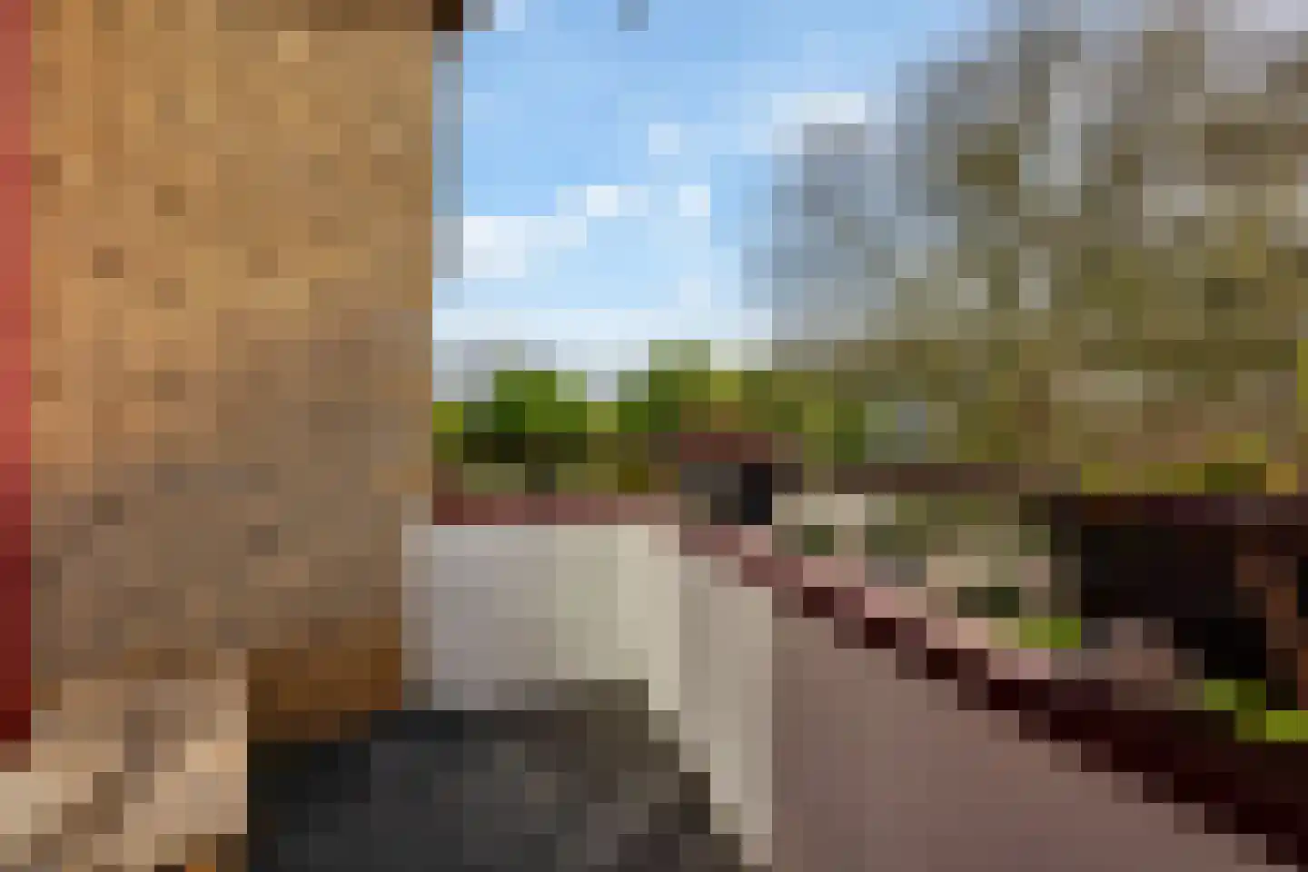 Jacoba van Beierenstraat 12 Vlaardingen thumbnail 18