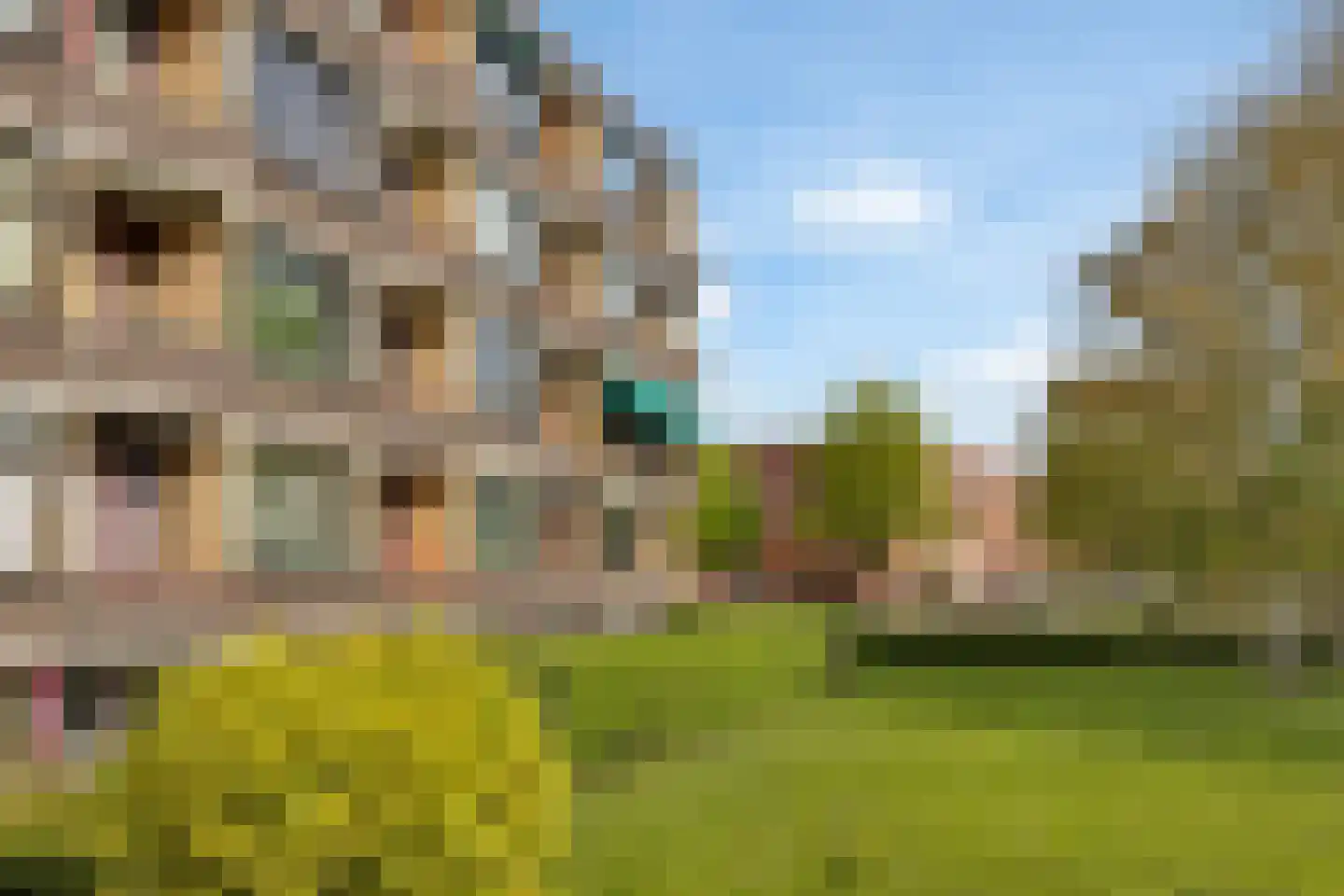 Jacoba van Beierenstraat 12 Vlaardingen thumbnail 19