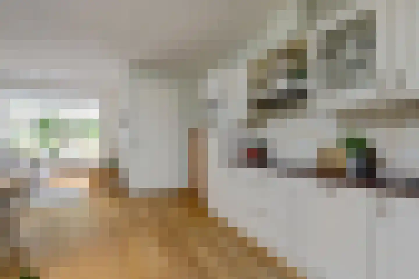 Jacoba van Beierenstraat 2 b Woudrichem thumbnail 17