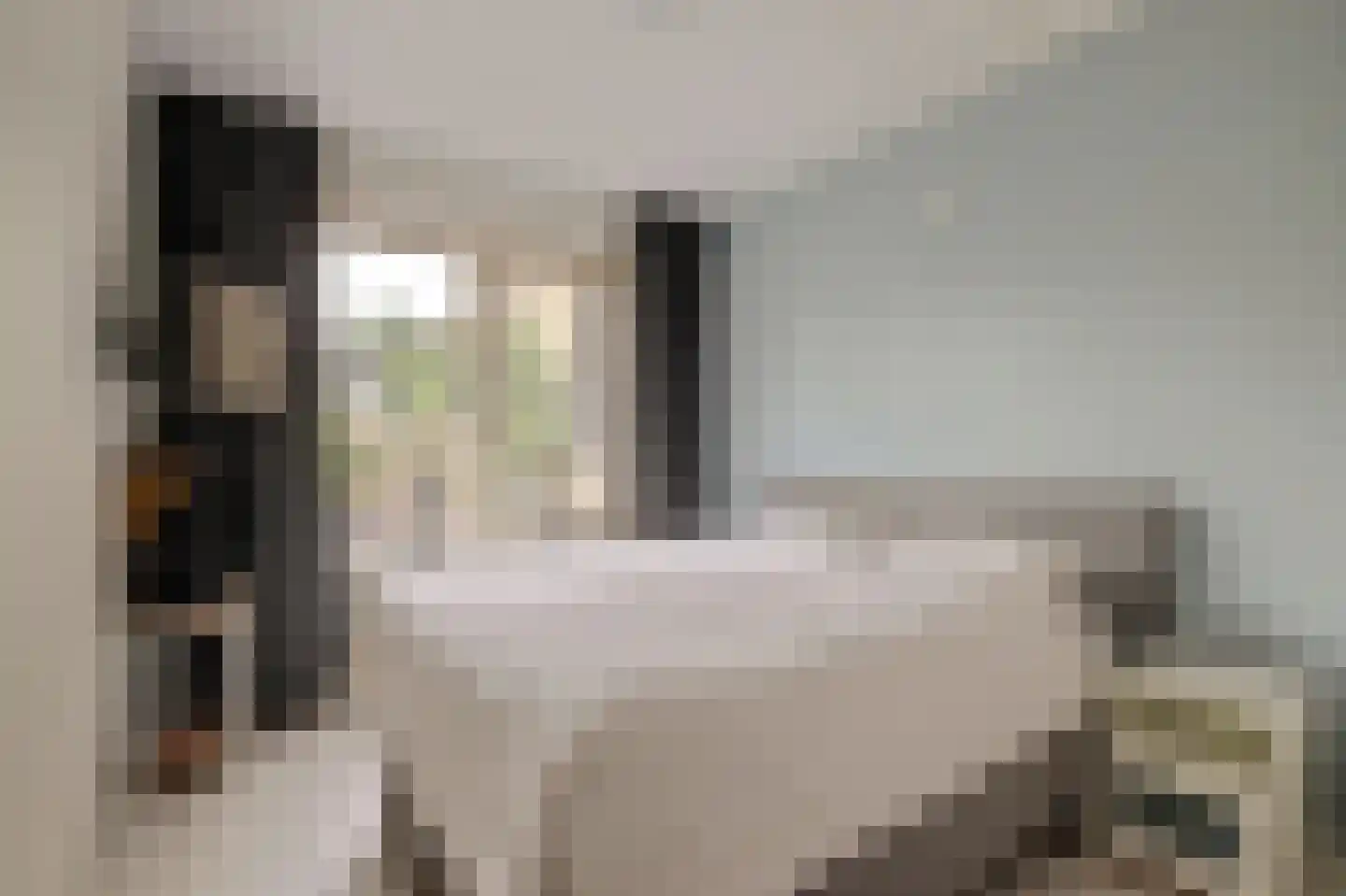 Jacoba van Beierenstraat 2 b Woudrichem thumbnail 25