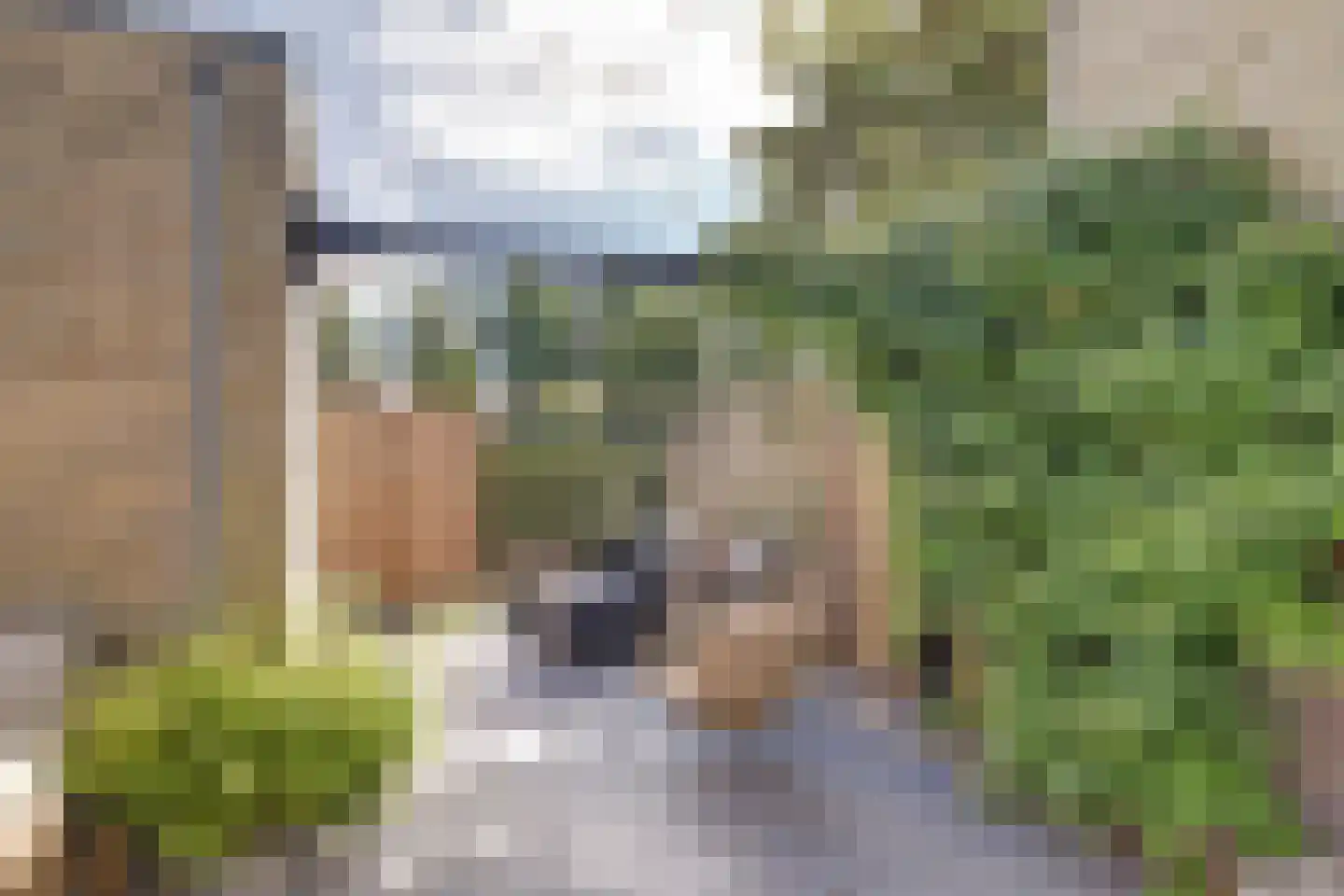 Jacoba van Beierenstraat 2 b Woudrichem thumbnail 36