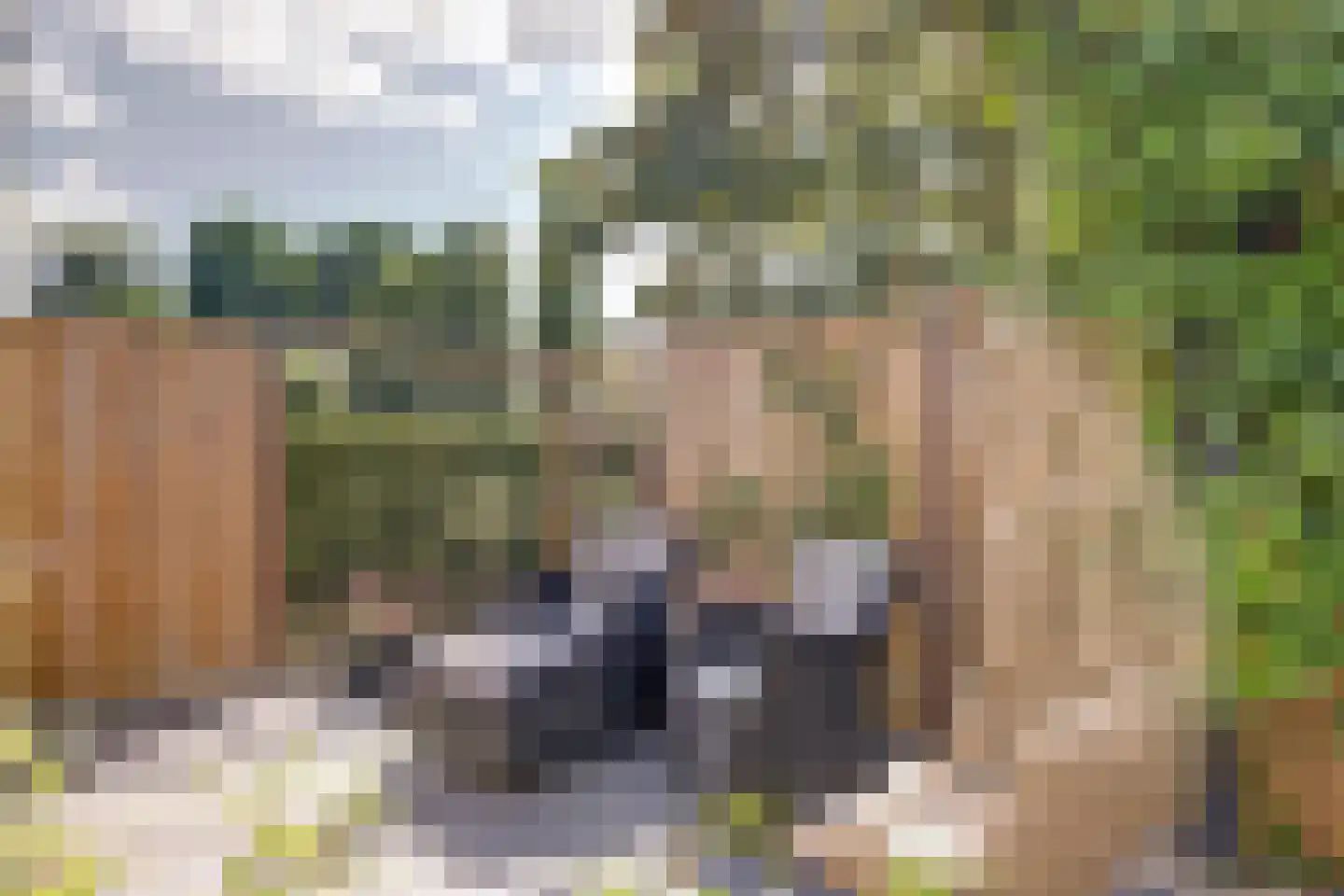 Jacoba van Beierenstraat 2 b Woudrichem thumbnail 37
