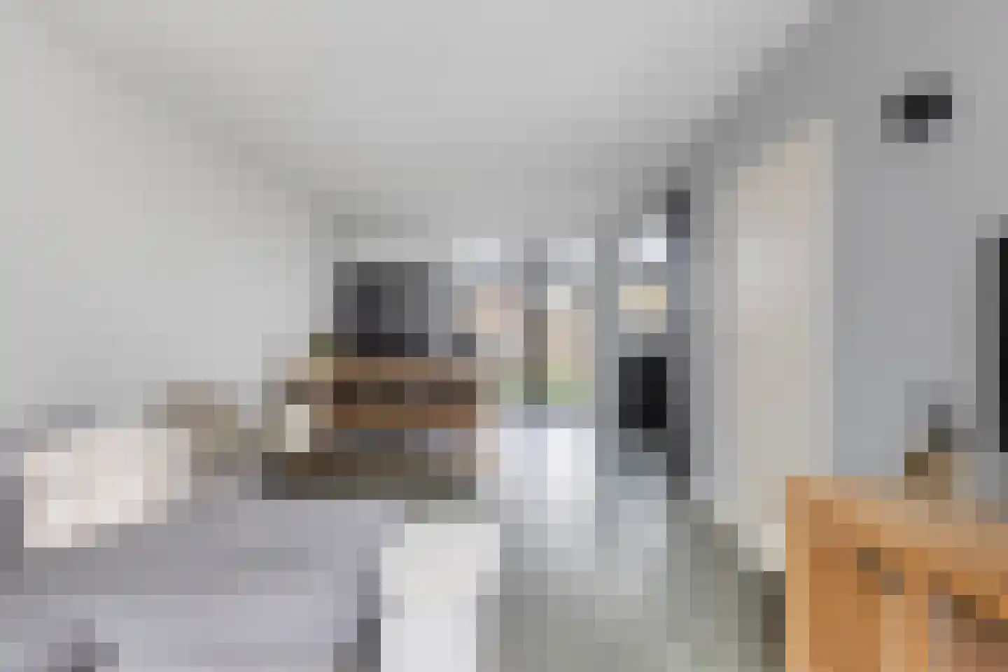 Jacoba van Beierenstraat 2 Brielle thumbnail 11