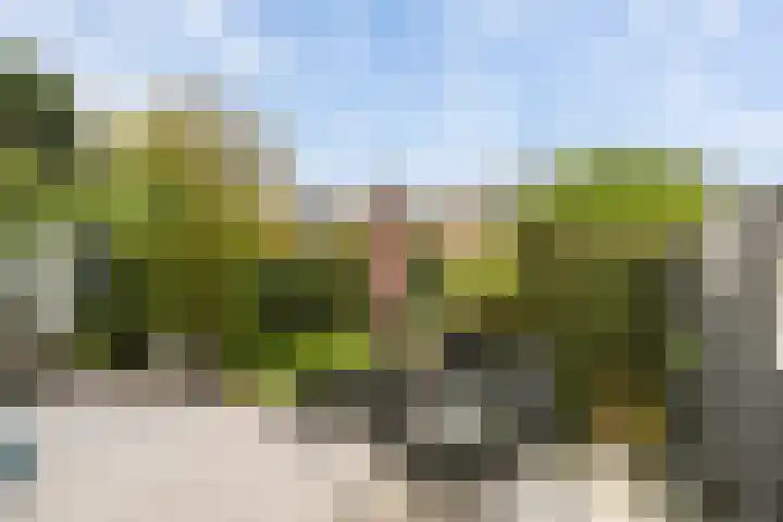 Jacoba van Beierenstraat 5 Vlaardingen thumbnail 20