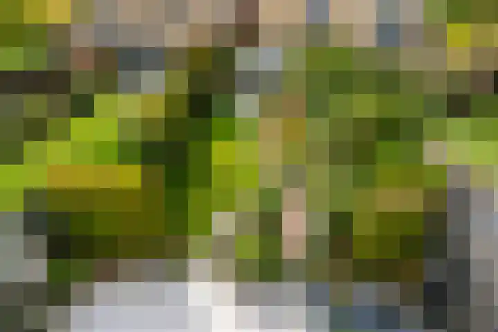Jacoba van Beierenstraat 5 Vlaardingen thumbnail 32