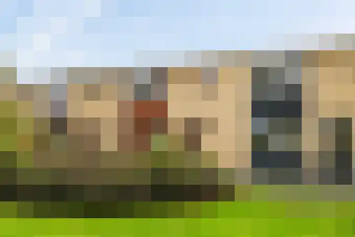 Jacoba van Beierenstraat 5 Vlaardingen thumbnail 7