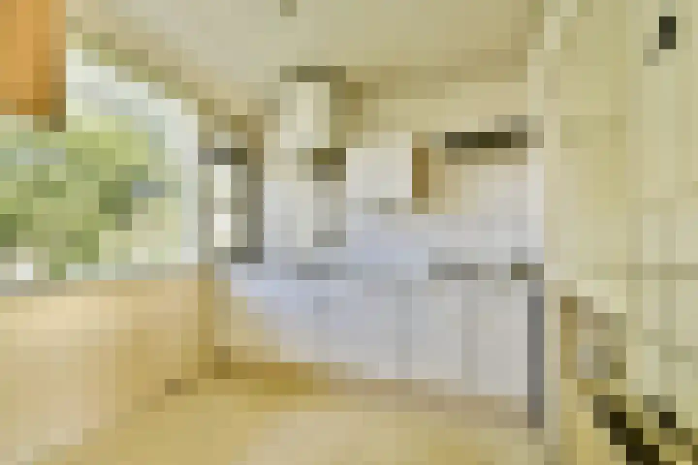 Jacoba van Beierenstraat 60 Vlaardingen thumbnail 19