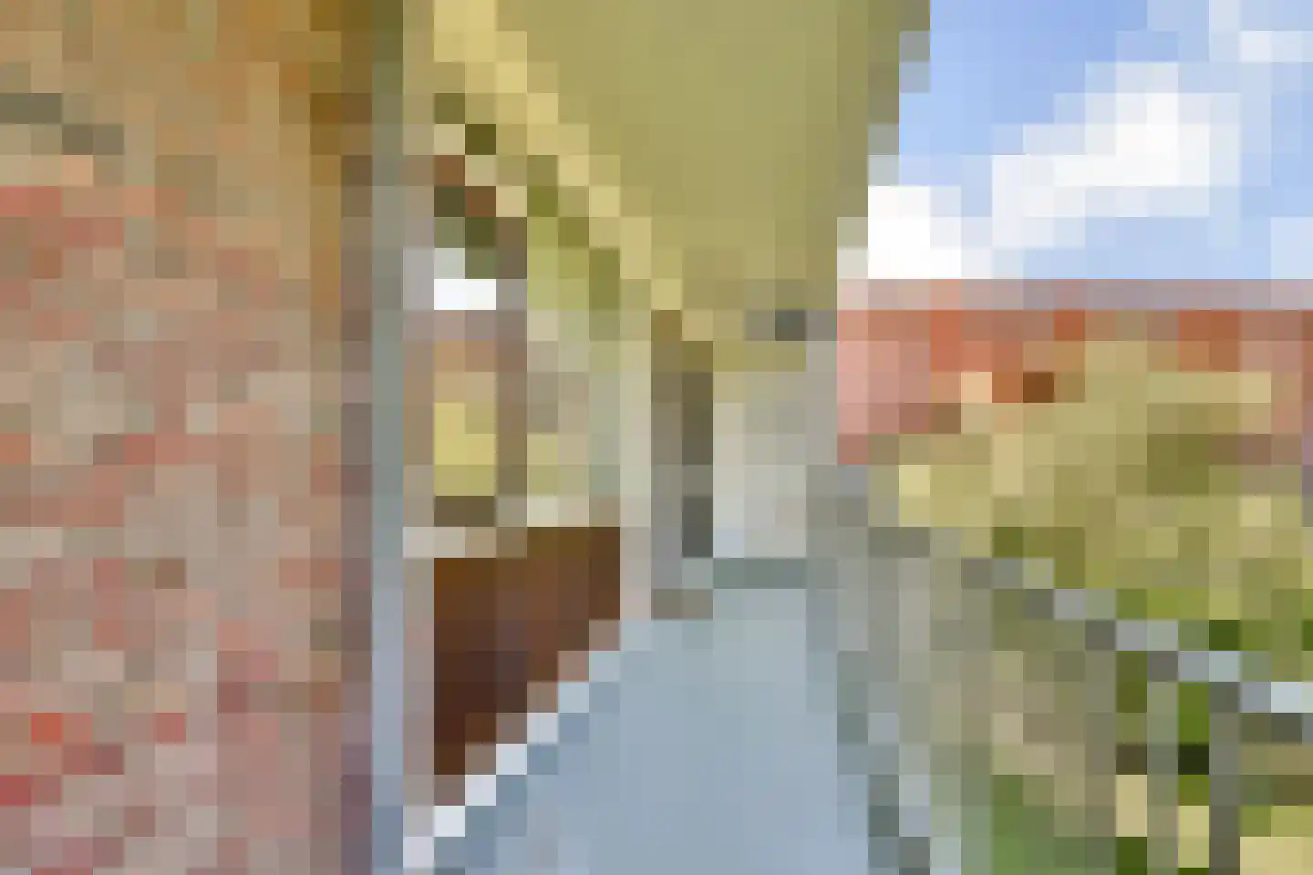 Jacoba van Beierenstraat 60 Vlaardingen thumbnail 6