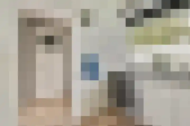 Jacoba van Beierenstraat 78 Vlaardingen thumbnail 21