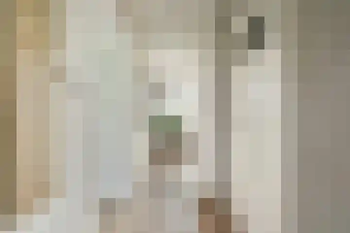 Jacoba van Beierenstraat 78 Vlaardingen thumbnail 8