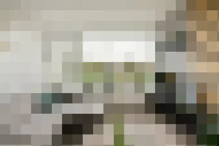 Jacoba van Beierenstraat 78 Vlaardingen thumbnail 9