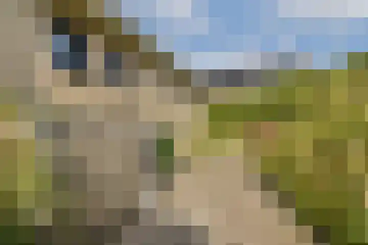 Jacoba van Beierenweg 122 Voorhout thumbnail 21