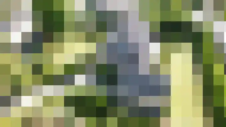 Jacoba van Beierenweg 122 Voorhout thumbnail 38