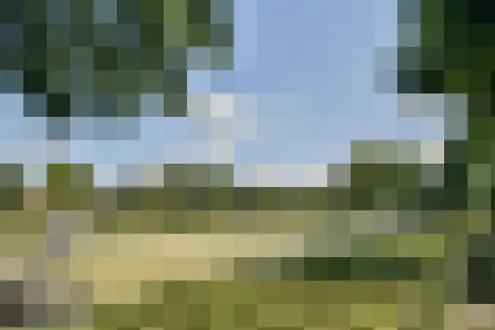 Jacoba van Beierenweg 124 c Voorhout thumbnail 32
