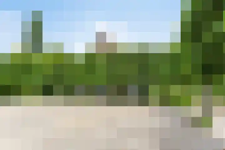 Jacoba van Beierenweg 136 Voorhout thumbnail 7