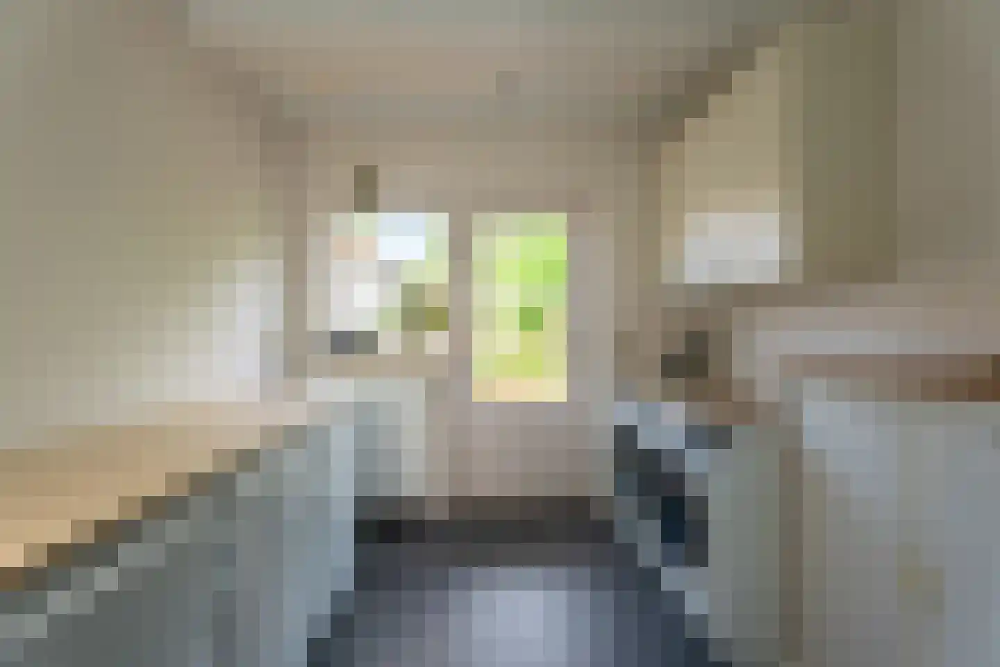 Jacoba van Beierenweg 28 Voorhout thumbnail 37