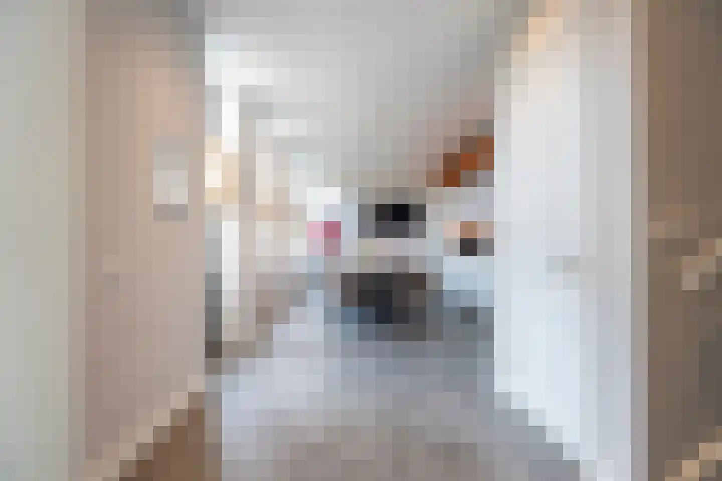Jacoba van Beierenweg 77 Voorhout thumbnail 8