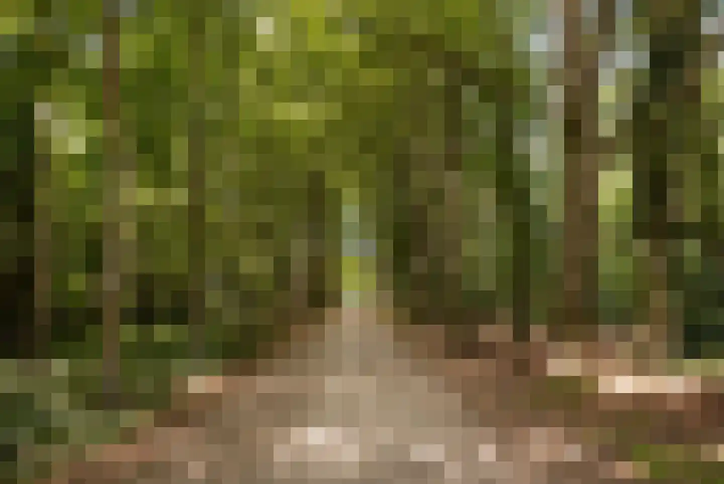 Jacoba van Tongerenlaan 36 3 Bilthoven thumbnail 5